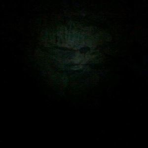 Meet your Posher, Lucy