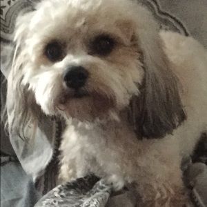 Meet your Posher, Stacy