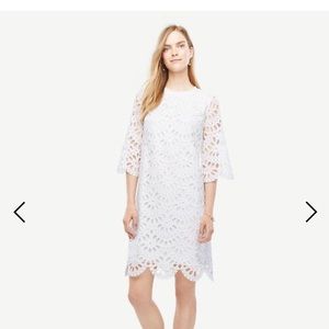 Ann Taylor eyelet shift dress