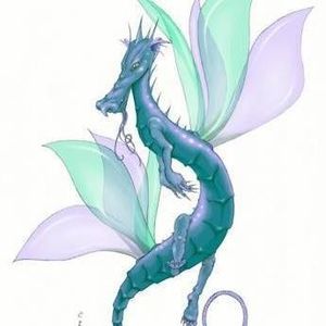 Meet your Posher, Beverly