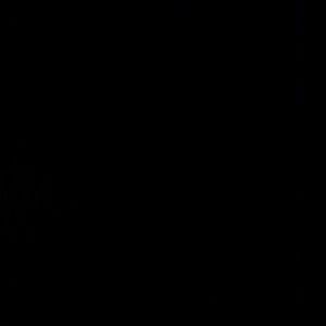 Meet your Posher, Ben