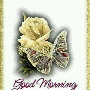 Meet your Posher, Jeannette