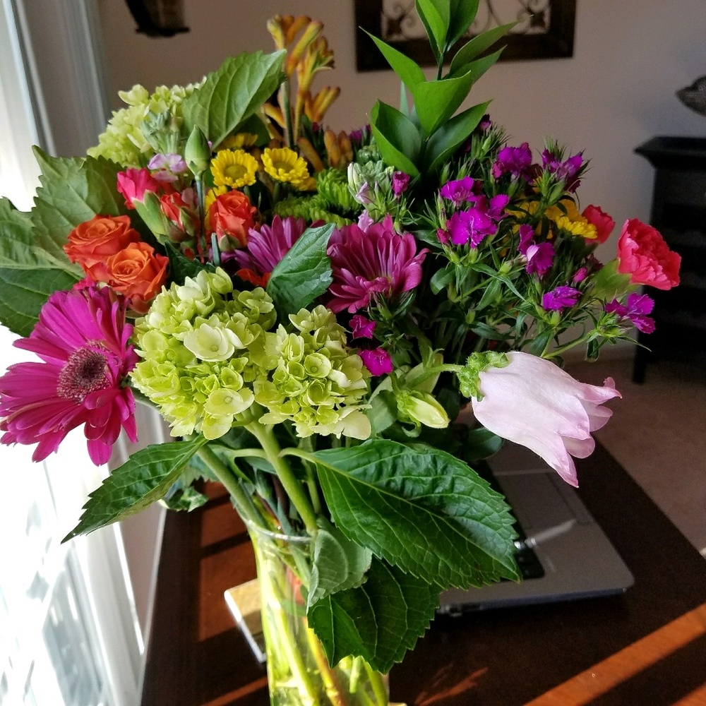 Meet your Posher, Amy