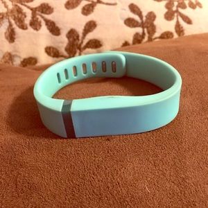 Fitbit Flex