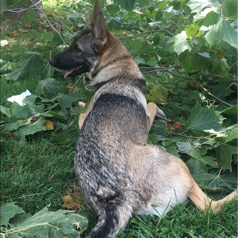 Meet your Posher, Nathan