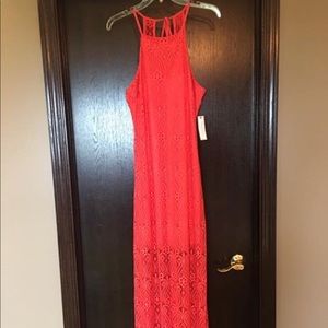 Bisou Bisou Coral Lace Dress