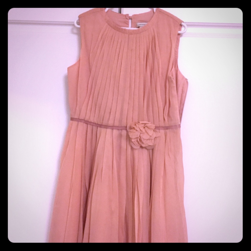 J.Crew crew cuts. I Have 2. Dusty Rose dress
