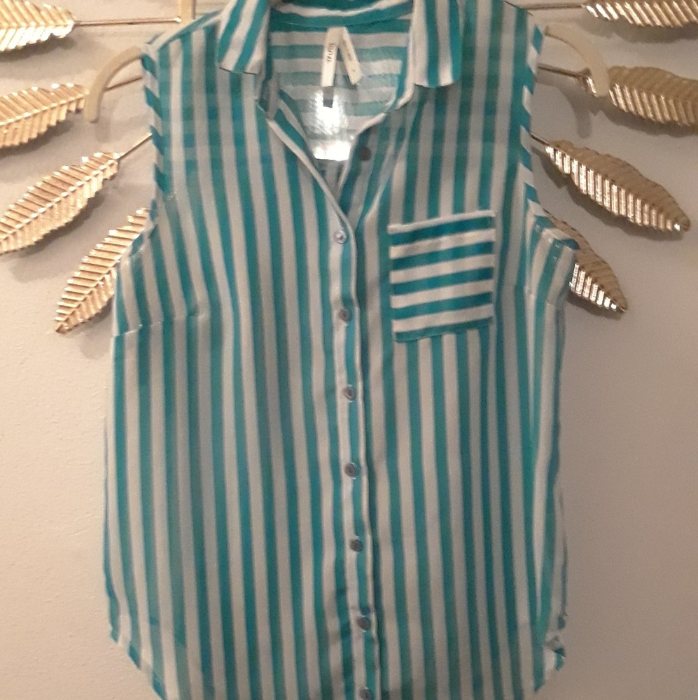 Sleeveless, collared, sheer blouse