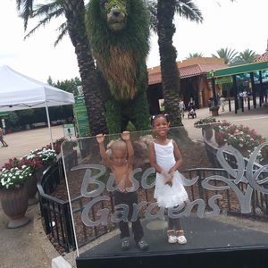 Meet your Posher, Darian