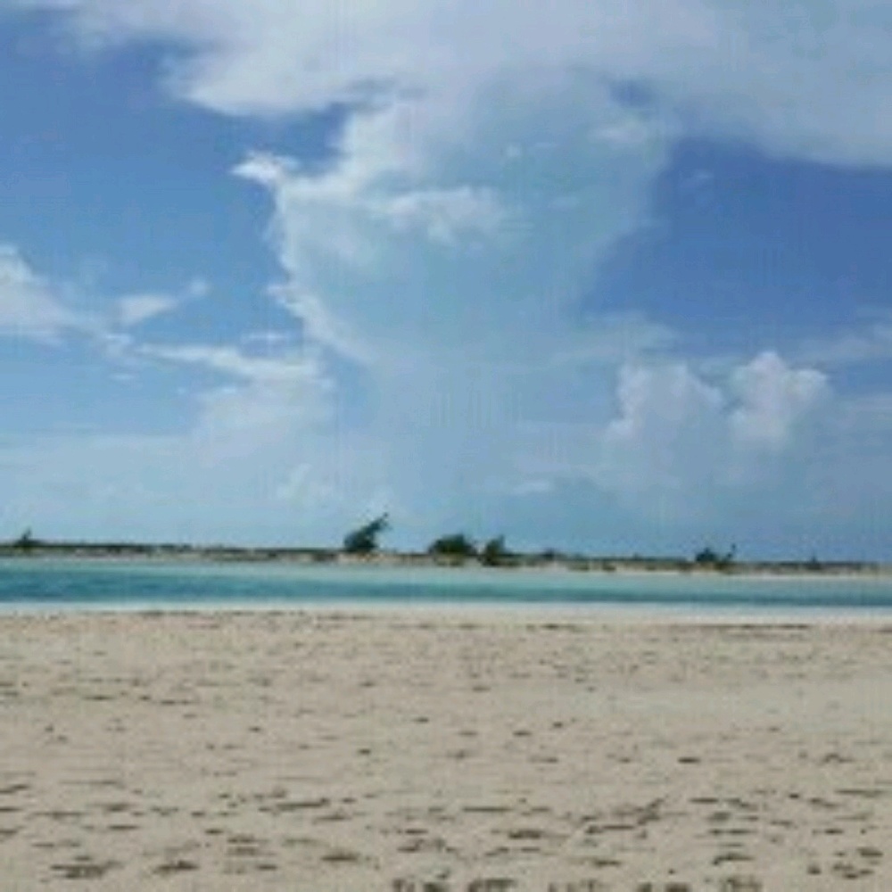 Meet your Posher, Zoey