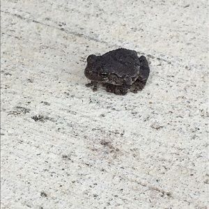 Meet your Posher, Carissa