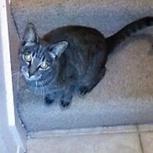 Meet your Posher, Gail