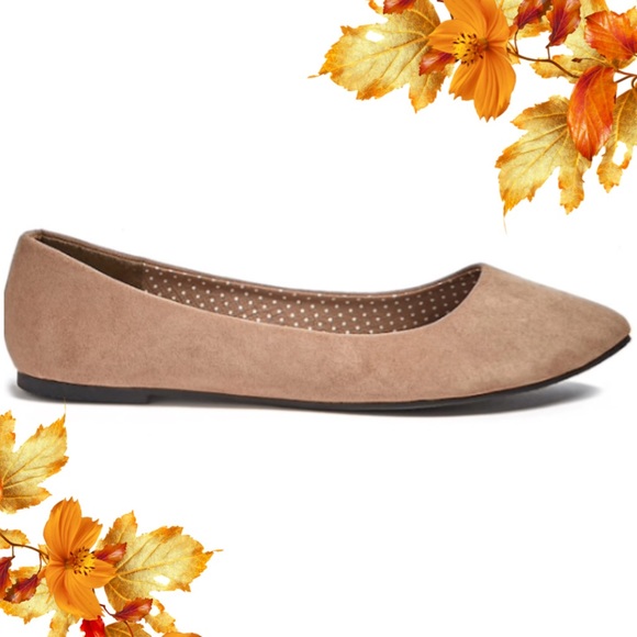 🍁Pointed Flats🍁 Taupe • NEW - Picture 1 of 4