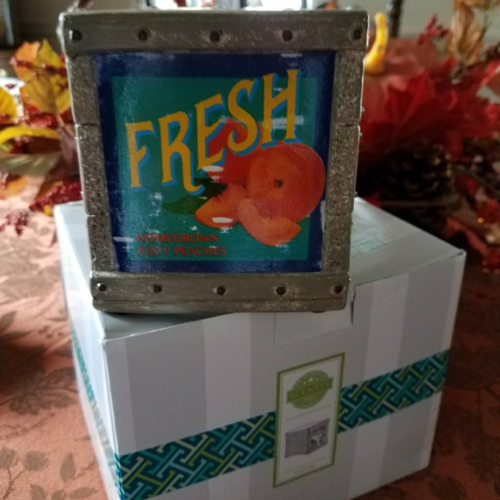 "Fruit Crate" Scentsy Warmer