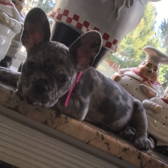 Sharing my new baby with you guys - Picture 2 of 3