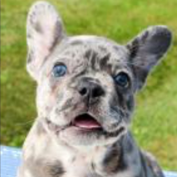 Sharing my new baby with you guys - Picture 3 of 3