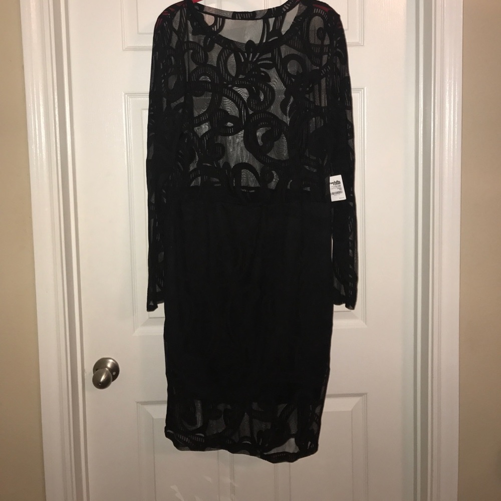 Long Sleeve Mesh Dress