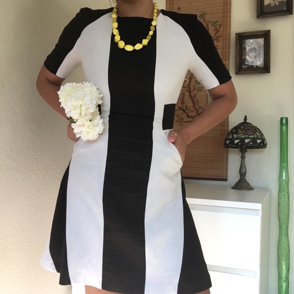 W118 BY WALTER BAKER Black and White Dress - Picture 5 of 8