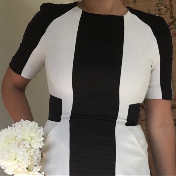 W118 BY WALTER BAKER Black and White Dress - Picture 6 of 8