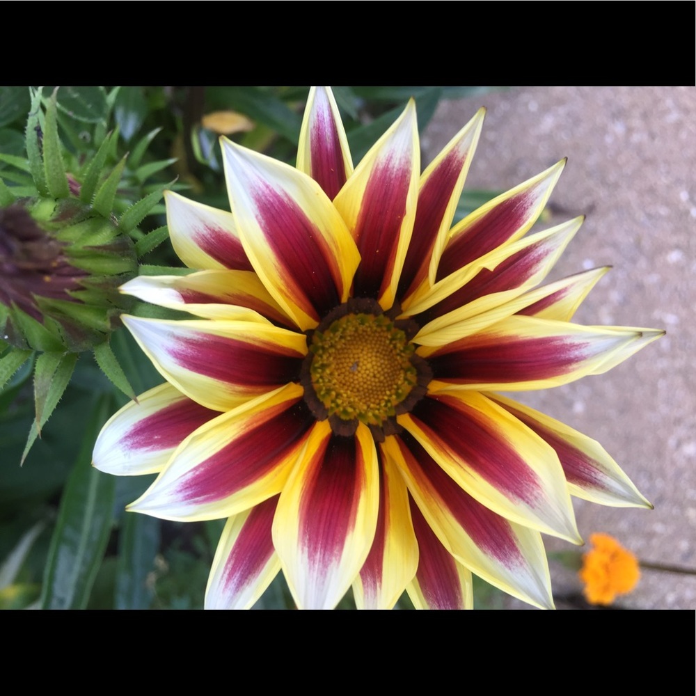 Meet your Posher, Debra