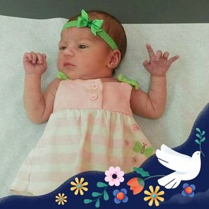 Meet your Posher, Bonnie