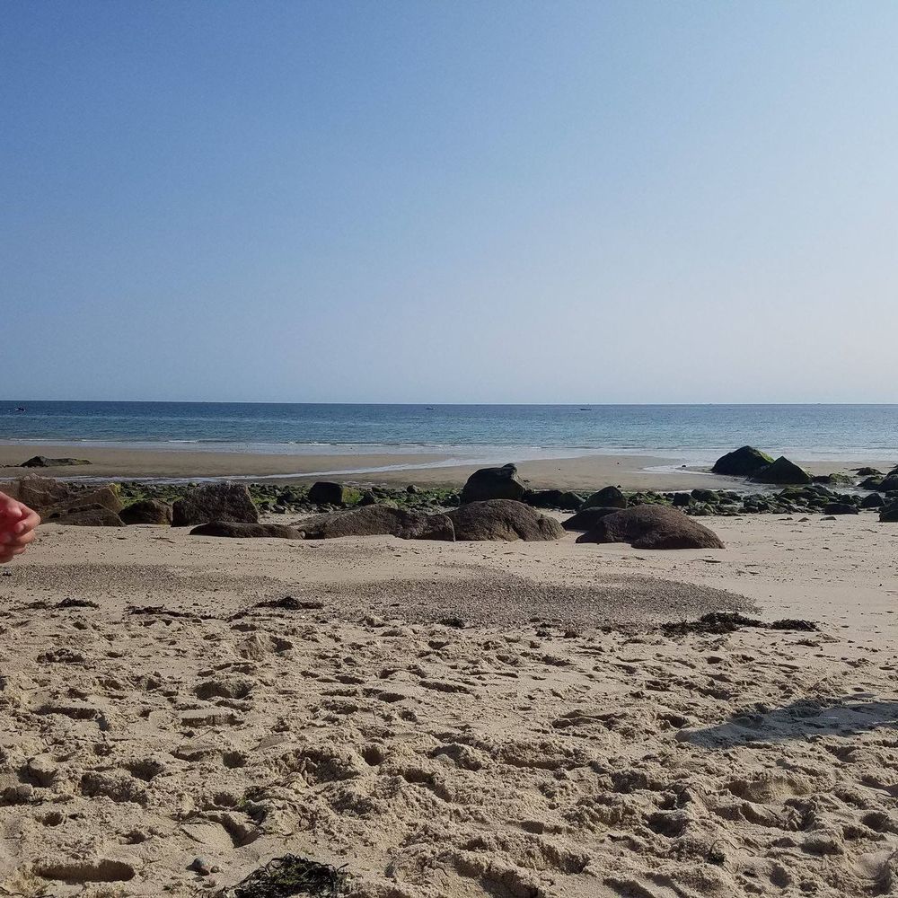 Meet your Posher, Dawn