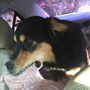 Meet your Posher, Rene