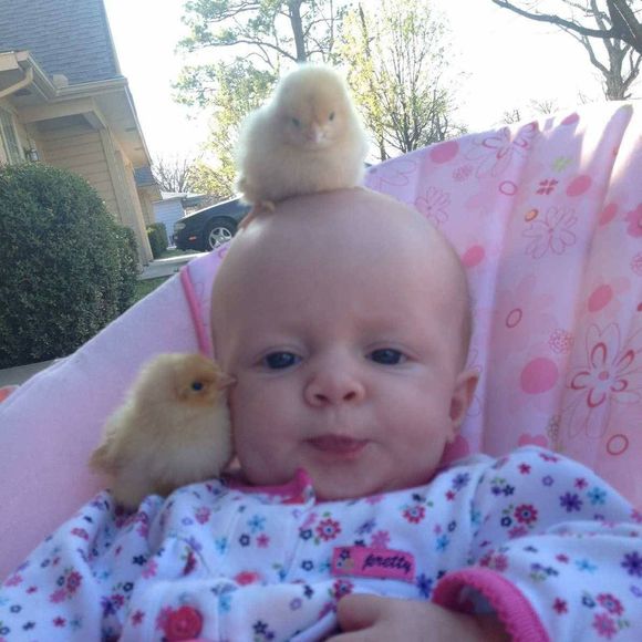 Meet your Posher, Joyce - Picture 1 of 1