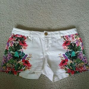 Arden B. Shorts, size 8, great condition!
