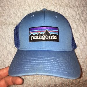 Patagonia Trucker hat