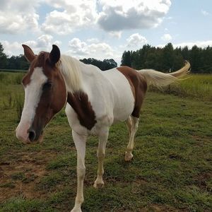 Meet your Posher, Kristal