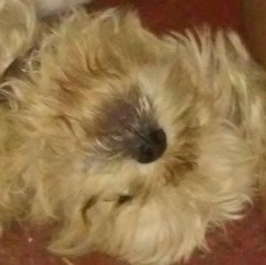 Meet your Posher, Tyyonna