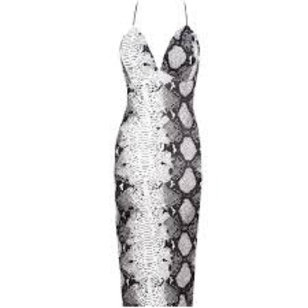 Snakeskin Dress
