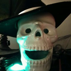 Meet your Posher, Robin