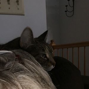 Meet your Posher, Laura