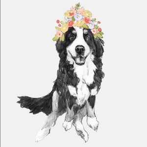 Meet your Posher, Kat