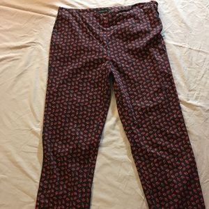 Talbots Skinny Ankle Pant Sz 10 LADYBUGS Side Zip