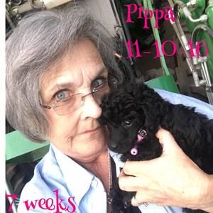 Meet your Posher, Jane