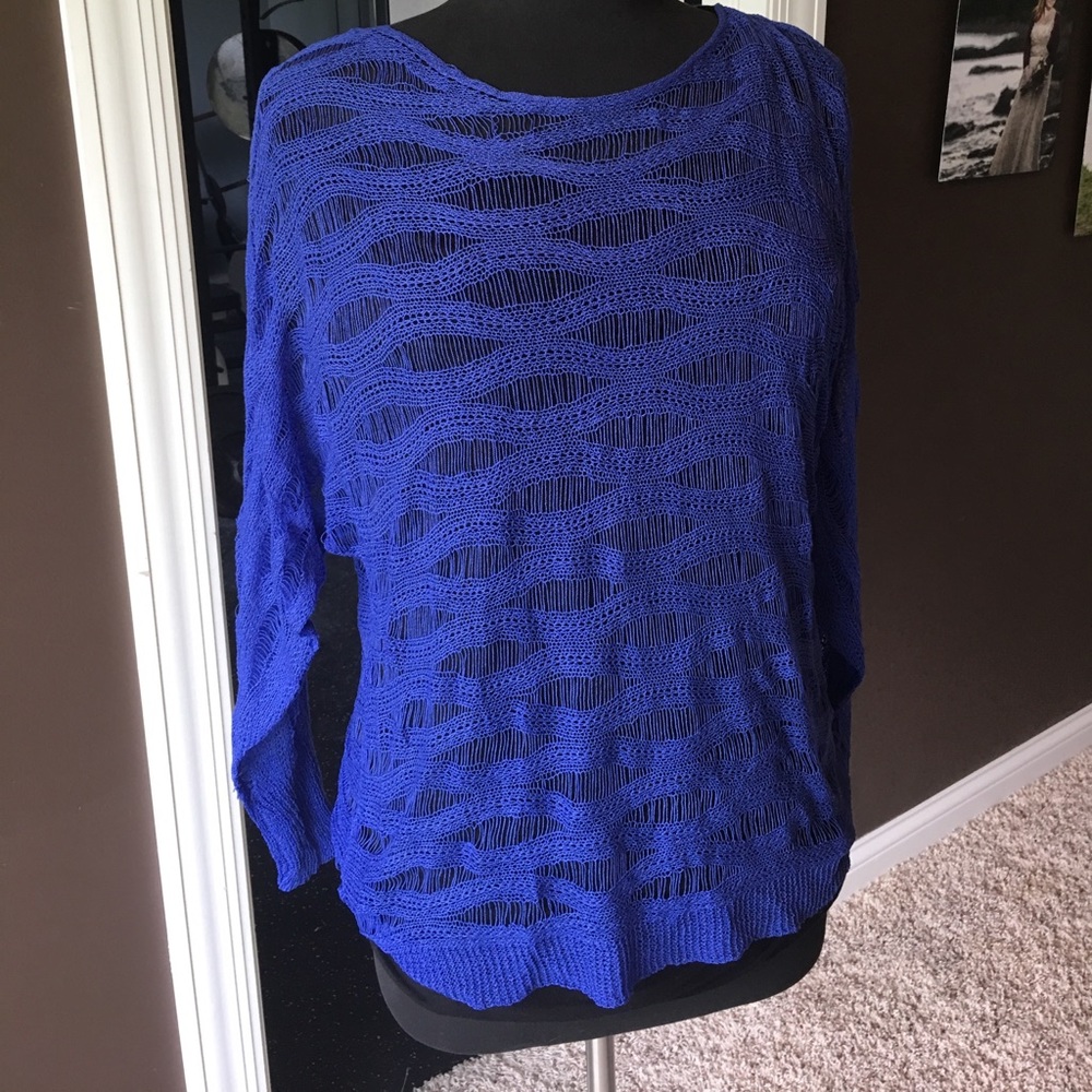 Sheer blue top/sweater