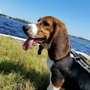 Meet your Posher, Shannon