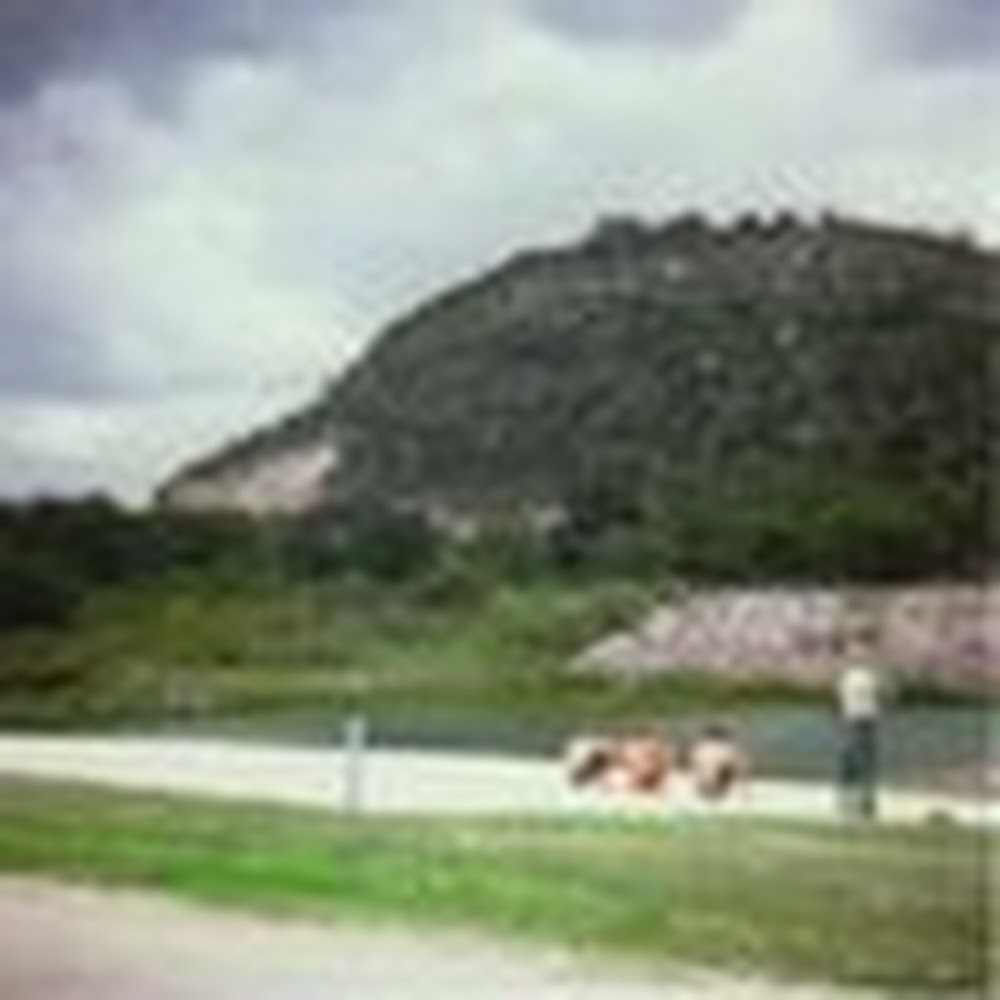 Meet your Posher, Bernice