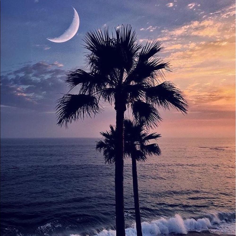 Meet your Posher, Sherin