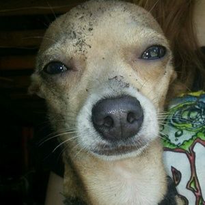 Meet your Posher, Haley