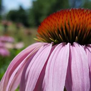 Meet your Posher, Valerie