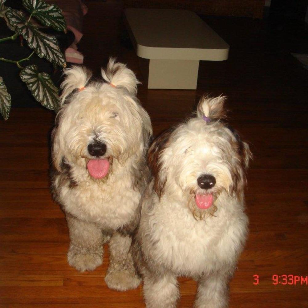 Meet your Posher, Gintare