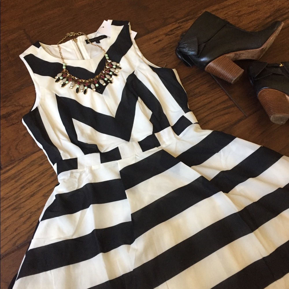 NWT Hot & Delicious Fit and Flare Dress, size L