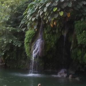 Meet your Posher, Sonya