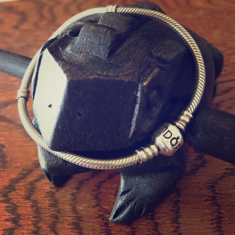 New style pandora charm bracelet