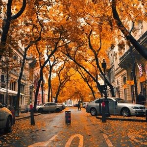 Meet your Posher, Taylor