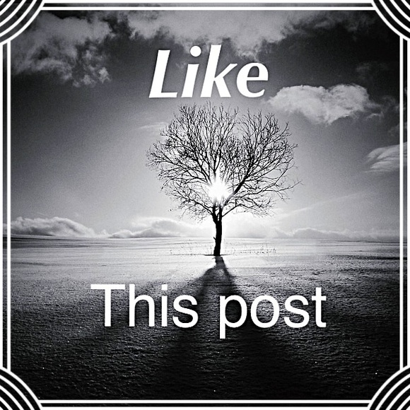 COME BACK TO FOLLOW✨Look for 2nd Follow Game✨ - Picture 3 of 7